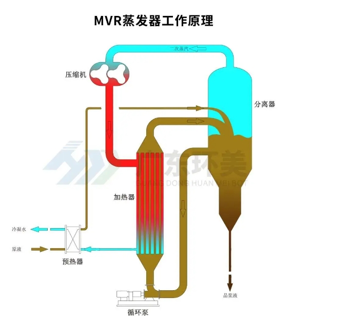 MVR蒸發(fā)器